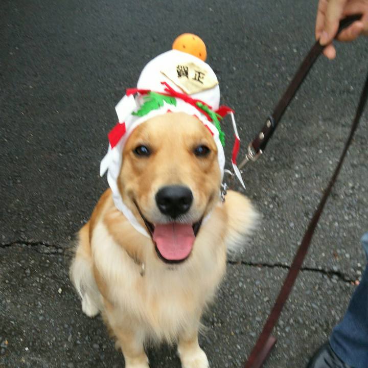 0c710d44 bb3a 4c31 a7e5 3dc66d6d7058