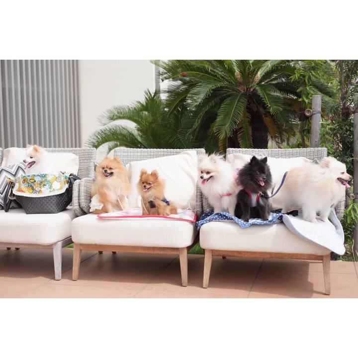 0c713df7 3d2e 4b9f 9979 c32da255024a