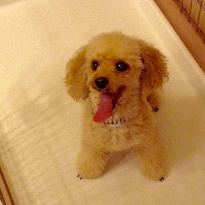 0c71499b a7ce 4e27 8b4d 7ce6f7affaba