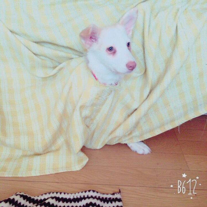 0c71dc2e 4c62 4727 989e 582192c82652