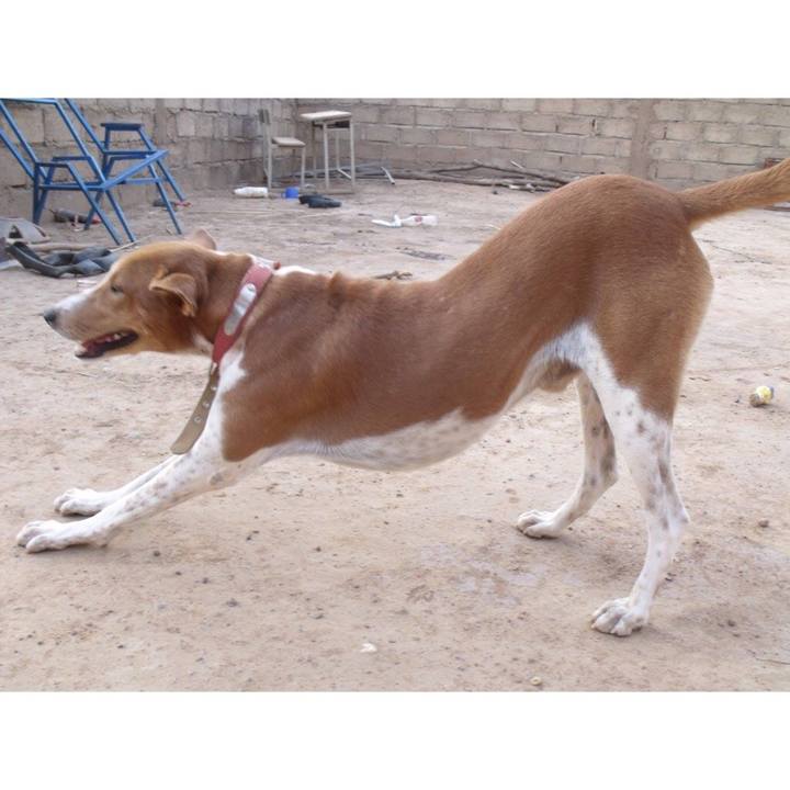 0c71de12 82a5 4e54 8b94 8f9f2130d631