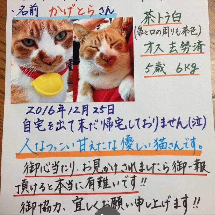 0c71e576 8a3e 44dc aa2d 76bc22824fe6