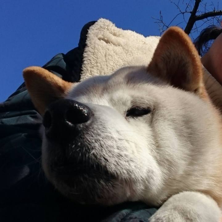 0c722604 14e8 460e 8974 d7c4dde3c2d0