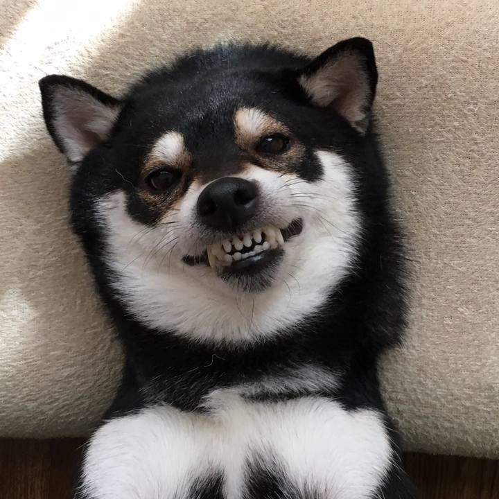 0c723b3d 9f15 4d94 a47d 4ae9f7ae45bf