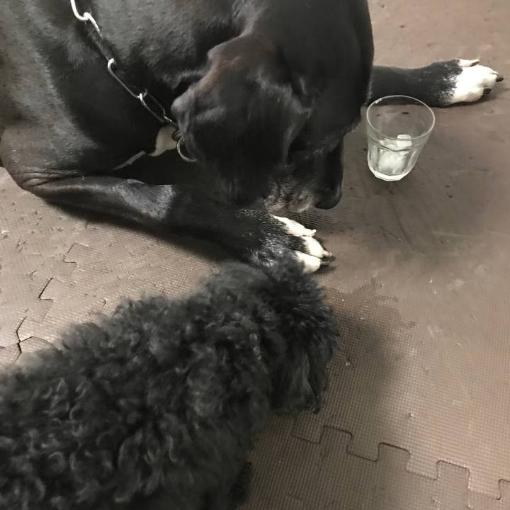 0c723d65 b55d 4e7c 85f5 aed445cd2752