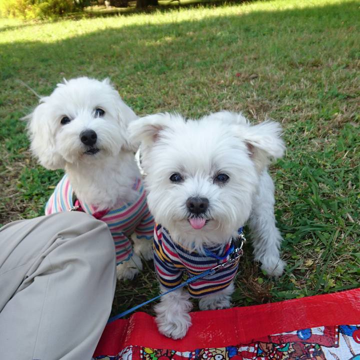 0c728cf0 d146 4d6c 9e71 bb0a48cea7d7