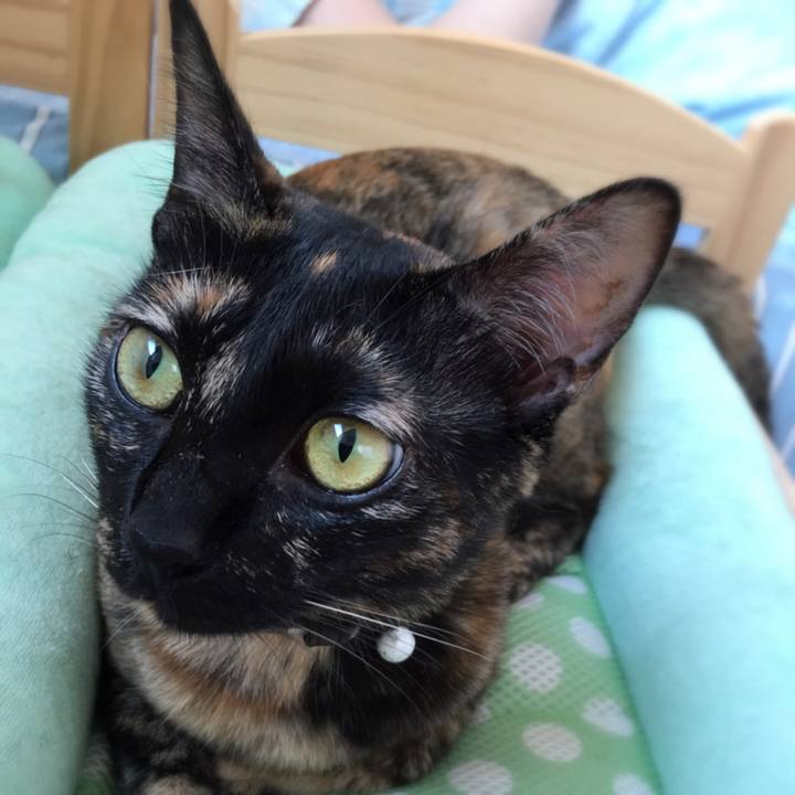 0c72d62c 15d4 4b6a 8333 f48d2b0fa7f5