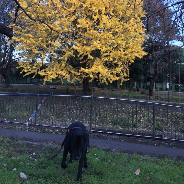 0c73b5b8 a06f 4e6c 952b 8af57cde79f9