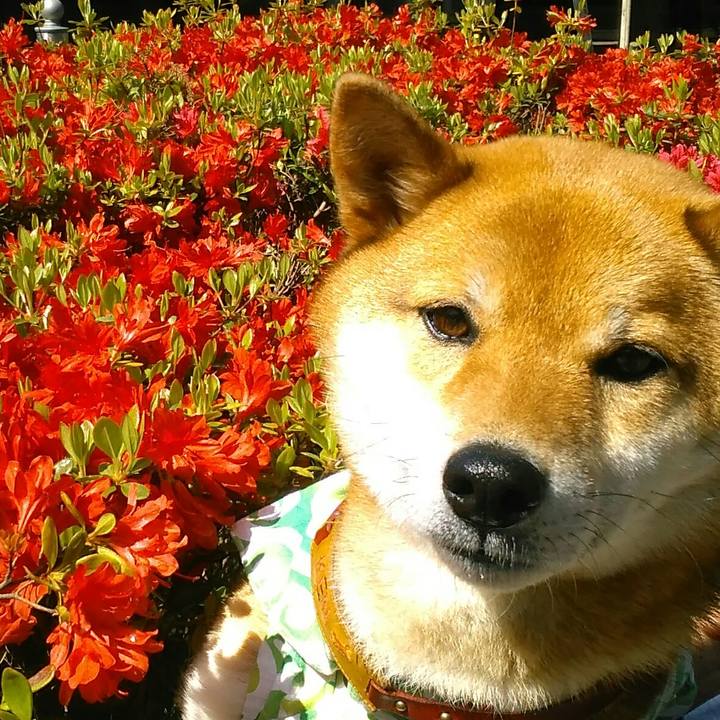 0c73c6e2 980d 437b bb2d e2a6219abbb3