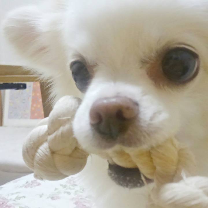 0c741f0b 92a1 4cbb b408 ccfcaefe0aef