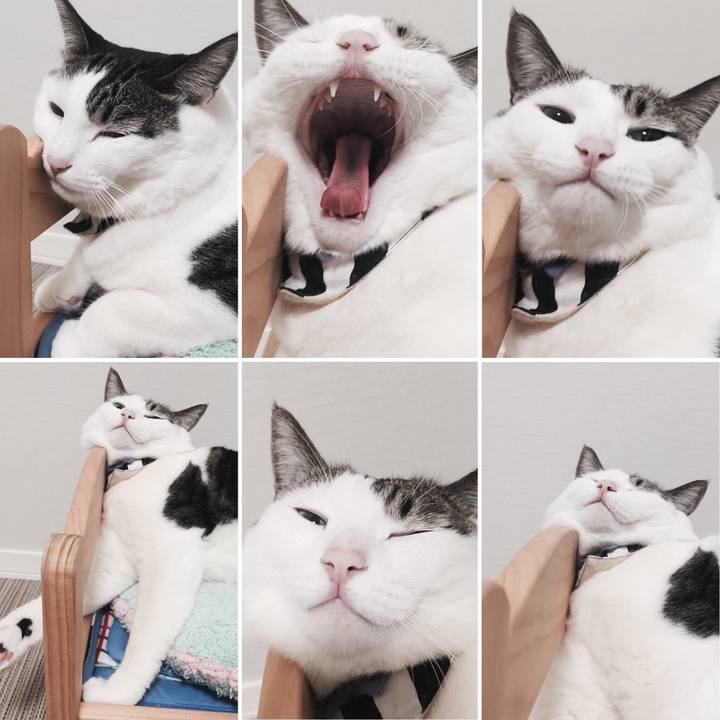 0c745bb6 97f0 4db1 9960 f1d09dd50bf6