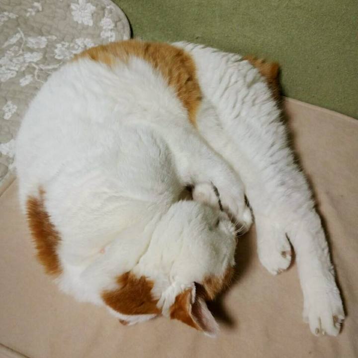 0c747aae 1f78 43d4 a624 e4ae07cebbca