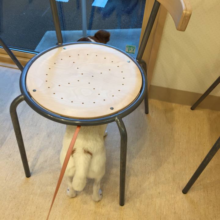 0c751cd8 7f60 4174 8a9d 75829fe4391f