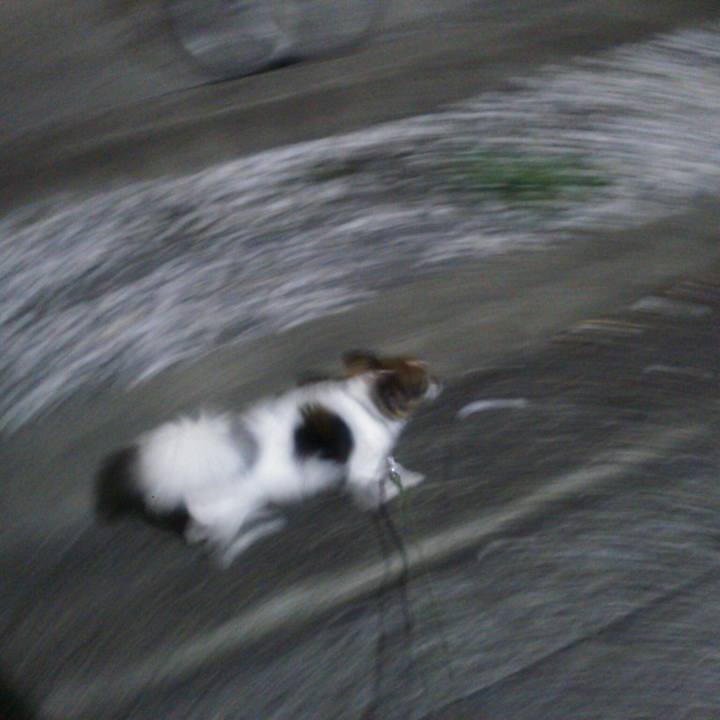 0c75285b 2d66 4175 8ea0 0afc93068dca