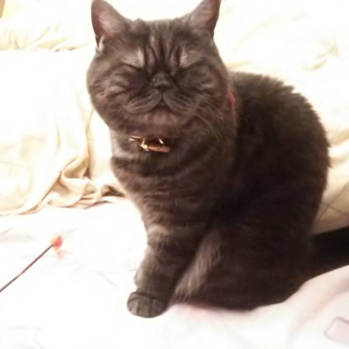 0c7601b6 436d 4881 abdb 717f18076857