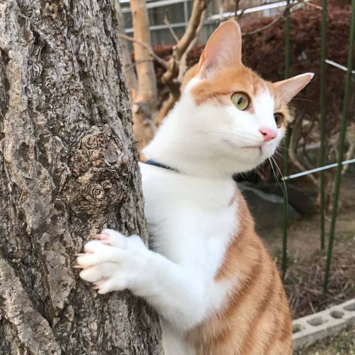 0c769eb2 6a58 45c5 8d71 66c8c9ab66af