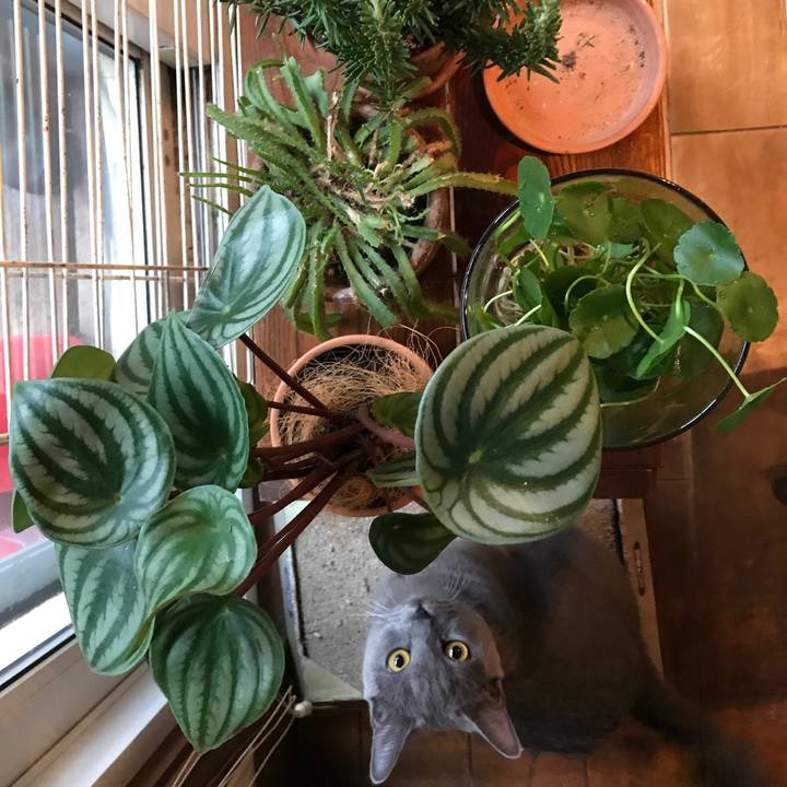 0c76e0c1 09fd 452b a85f 3e9be674c77b