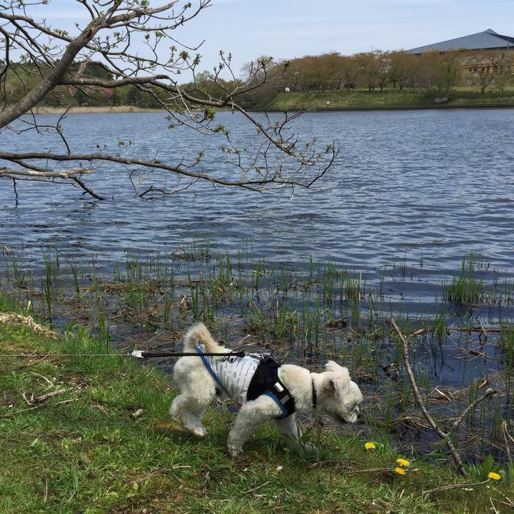 0c76e983 1c10 49c2 9580 4d5f3c6d179f