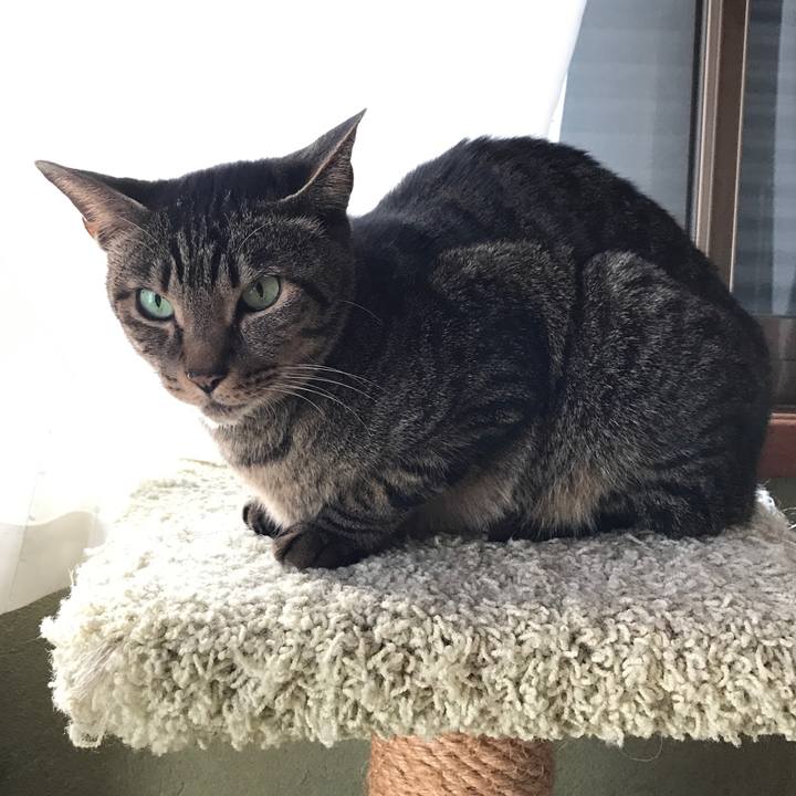 0c786313 6e42 40bb 892c b1eabdc52133