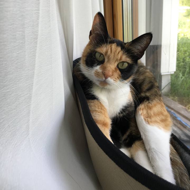 0c7897d4 5ad3 450f 94db fe9f8a3ec8b2