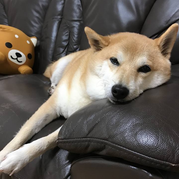 0c78e281 3df8 4dd8 b623 4e4f45d5016a