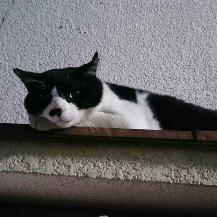 0c79cbb7 0ffb 4365 ab68 0aff8fd734a7