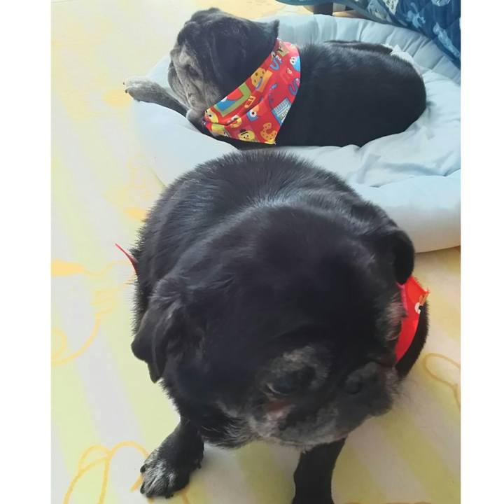 0c79e2b2 491d 46a4 92a4 bf08725f2bb4