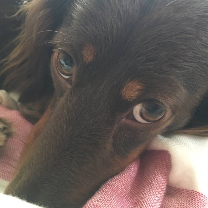 0c7a06c7 85f8 4b54 82f6 ae35f560ec8e