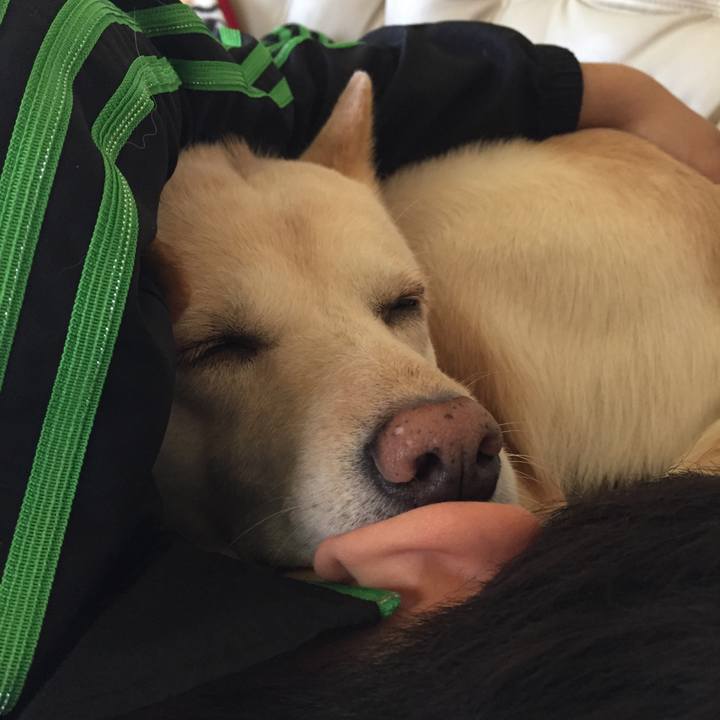 0c7a7fda 3202 4d68 869c c521f016d3a4