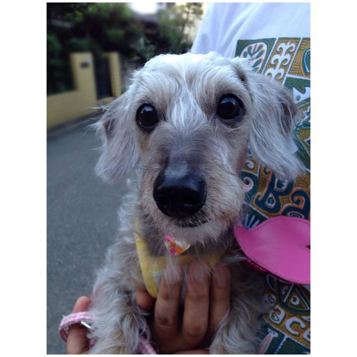 0c7a8770 37c1 4d1b a273 1132bd0eace3