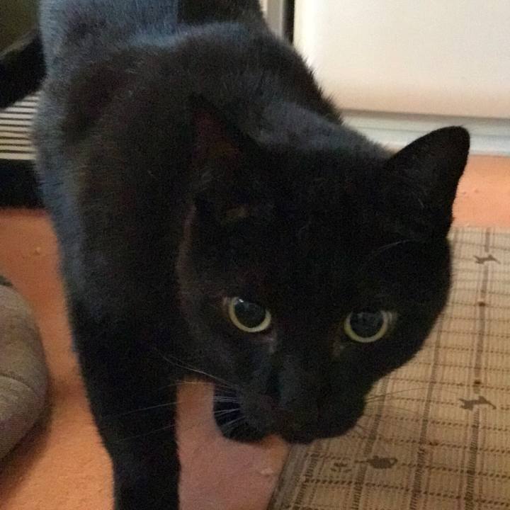 0c7ad4fe 2302 4b4a bdb2 a11ab871a331