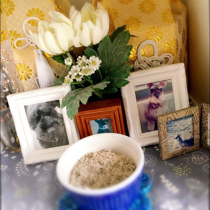 0c7af805 6bdc 4e56 a1ba 0d973352038a