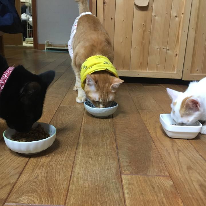 0c7b1f6f 2624 40e5 a569 c8c15049ba89