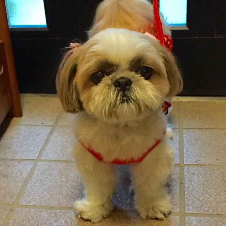 0c7b5104 8721 4357 8a36 e263e9f5c648