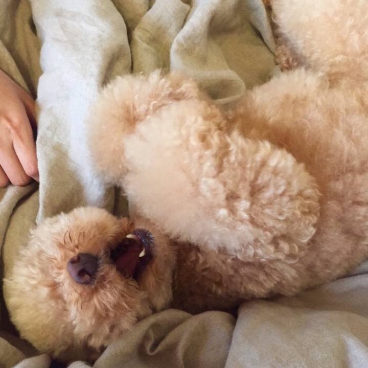 0c7b6836 a311 47dc a592 ff554cc552bb