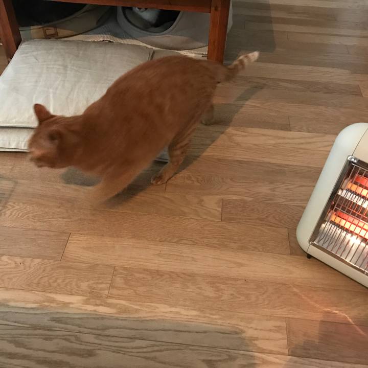 0c7c25a6 2881 481f 912a 7fe5c9c2d637