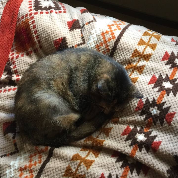 0c7c27c8 425b 4763 a371 822dab4d7bf8