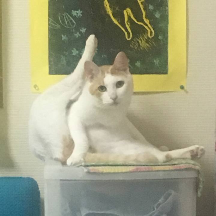 0c7d7bf0 e8b7 4c67 b002 714ba4a2ddb1