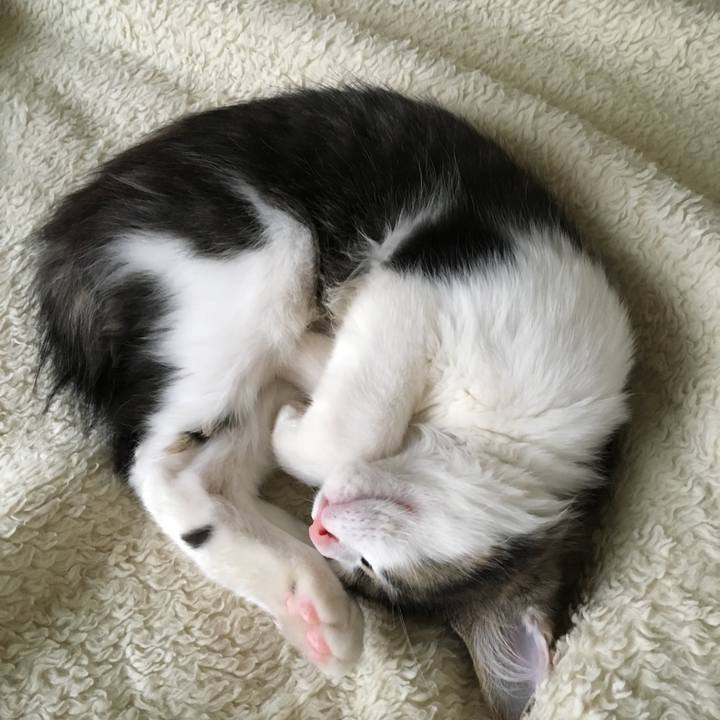 0c7e7a50 4d71 4778 9ebc 59857313bd29