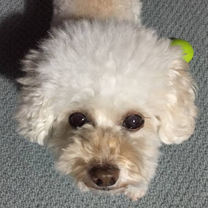 0c7f1acb a75e 45ac a5c7 df4422e1490e