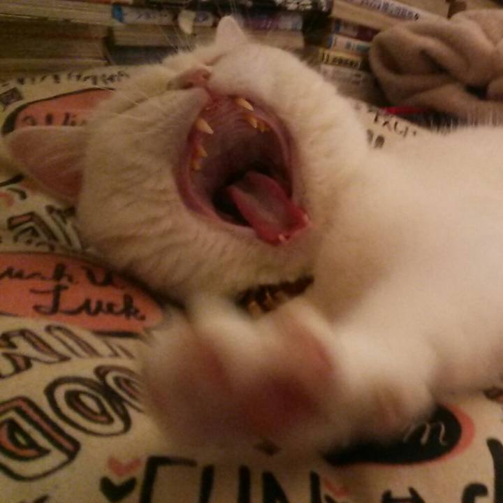 0c7f9bbc 1698 43b3 ac6a 84e14f5efd42