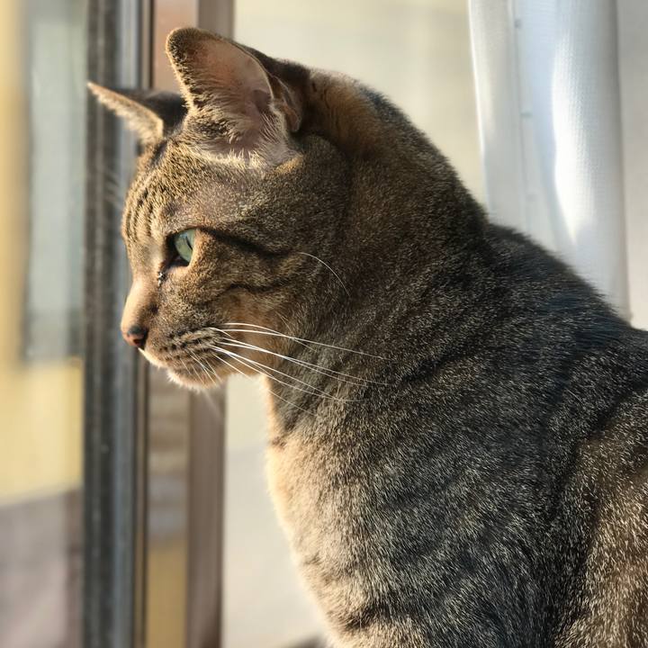 0c7fb4ea daa3 4c42 809e eff4dd99518b