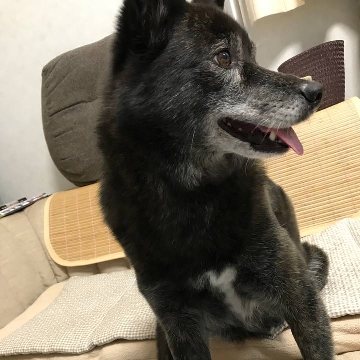 0c7fc2c5 033f 4c84 919d 9f3225533e4a