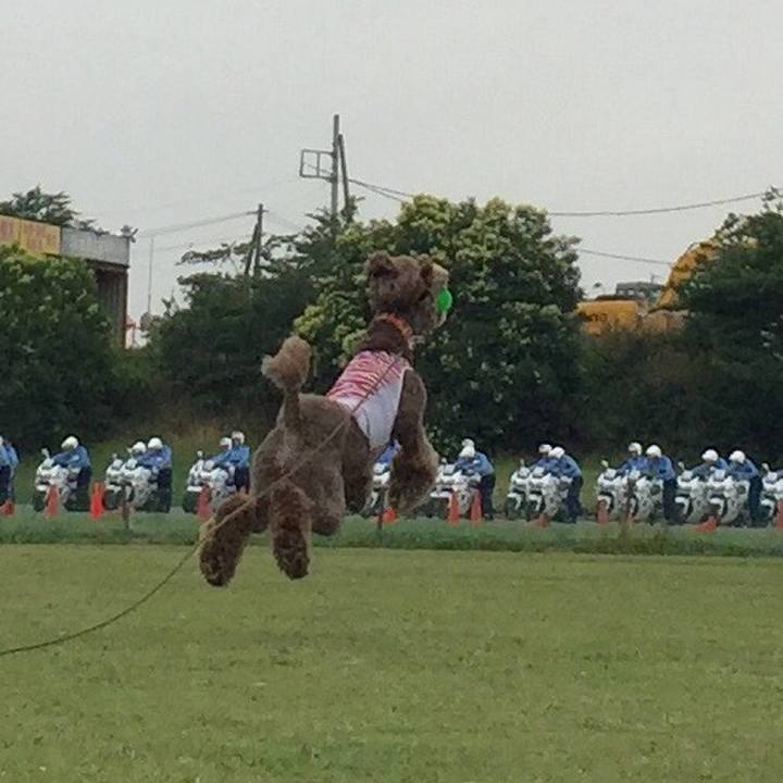 0c8036b5 cf73 4741 b564 186c3abac213