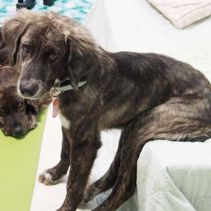 0c808ed3 ec3f 48a8 b496 5bd8d51fbfba