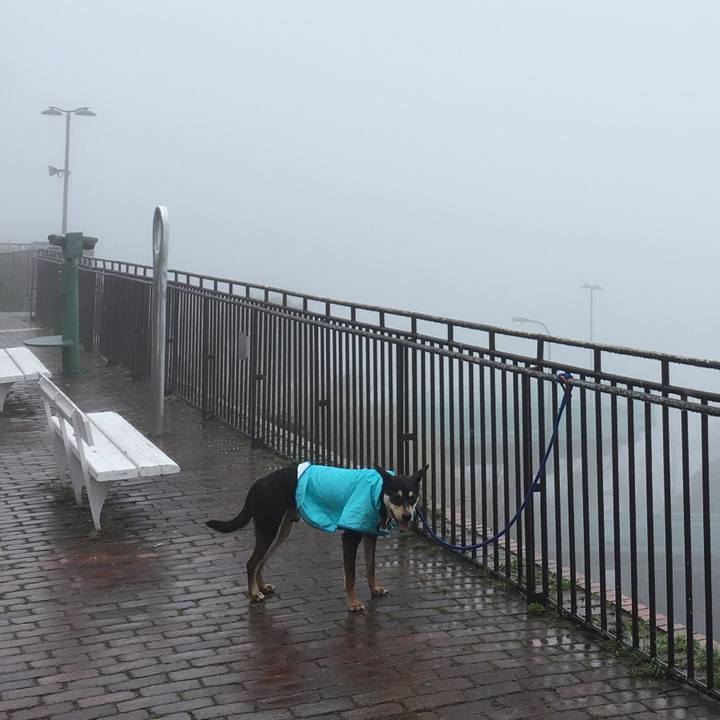 0c816161 28d0 4d0d 87ed d1e5eb55d015