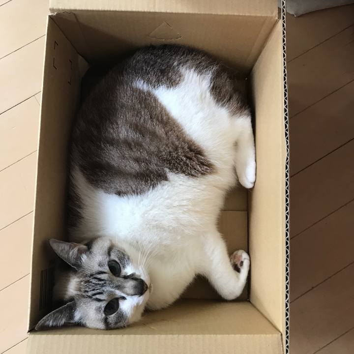 0c81dc0f c75a 41cf a040 23bc7b3b91e3