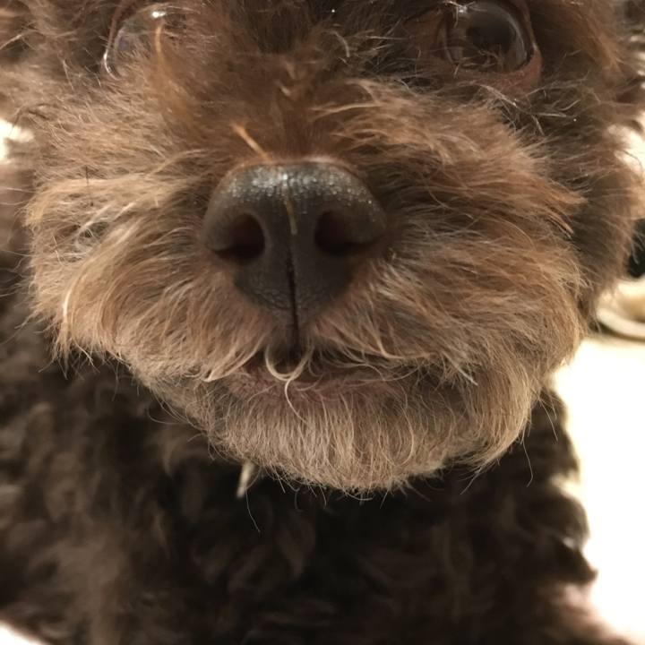 0c8260bc 8a77 4e18 bbb1 80556040164d