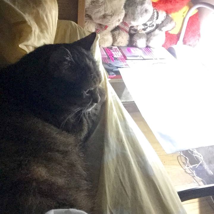 0c8386a3 4f47 4c5c 984a 882e56e2d0db