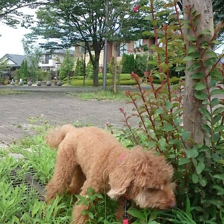 0c8391ee 2f8d 41e7 8d86 d238fa4b74b8